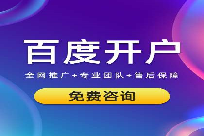 百度竞价排名机制：成功案例与策略探讨